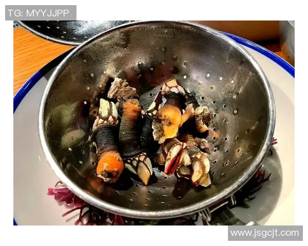 巴塞罗那探索之旅:文化、艺术与美食的完美交融 巴塞罗那探索之旅:文化、艺术与美食的完美交融