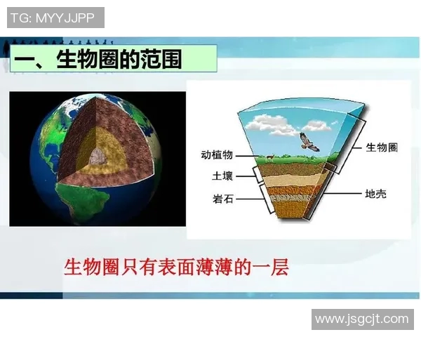 黄蜂生态与行为研究：从生物学特征到对生态系统的影响分析