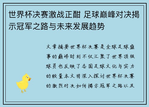 世界杯决赛激战正酣 足球巅峰对决揭示冠军之路与未来发展趋势