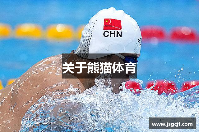 关于熊猫体育